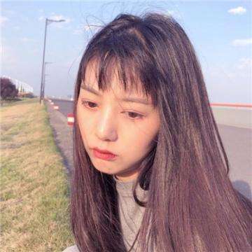 功夫拳王手机版
